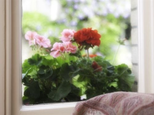 Bed and Breakfast Belmont Newton Abbot Exteriér fotografie